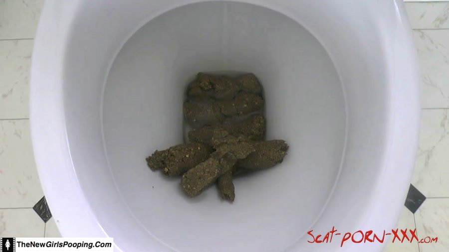 ShitGirl - Toilet Destroyed In 5 Mins - Solo - Scatology, Amateur [FullHD 1080p]