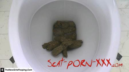 ShitGirl - Toilet Destroyed In 5 Mins - Solo - Scatology, Amateur [FullHD 1080p]