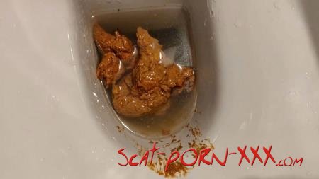 AinaraX - Big Load in the WC - Solo - Piss, Defecation [FullHD 1080p]