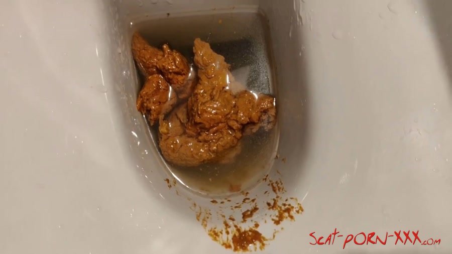 AinaraX - Big Load in the WC - Solo - Piss, Defecation [FullHD 1080p]