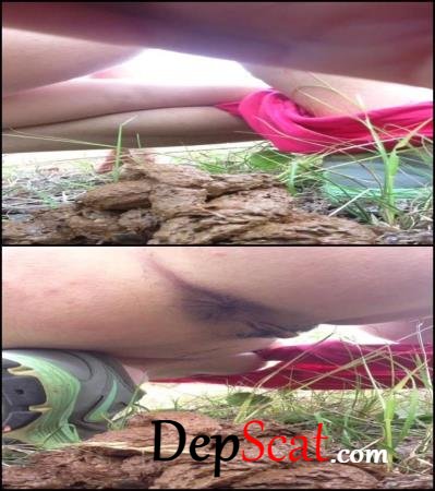 Closeup amateur pooping and peeing on outdoor. - [Special #537] (Homemade Scat) (HD 720p/268 MB)