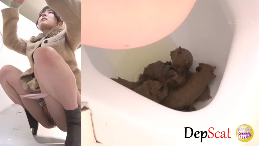 JAV - SPY CAM Spectacular Pooping Views of the Public Toilet PART-3 - SL-619 - Asian, Defecation [FullHD 1080p]