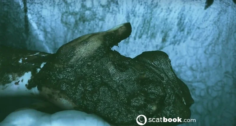 SweetBettyParlour - I CAN touch YOU with IT! - Scatbook -  [HD 720p]