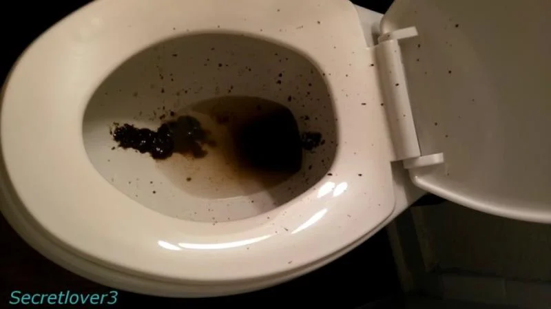 Sorsha aka Secretlover3 - Toilet Spray - Scatshop - Poop, Amateur [FullHD 1080p]