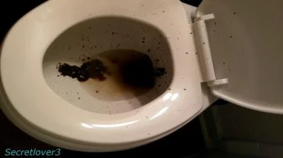 Sorsha aka Secretlover3 - Toilet Spray - Scatshop - Poop, Amateur [FullHD 1080p]