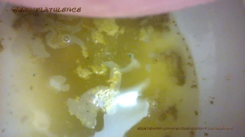 Sexy Flatulence - Diarrhea In The Toilet - Scatshop - Milf, Solo [FullHD 1080p]