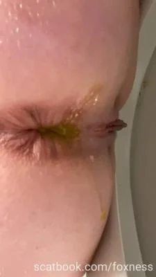 Foxness - Pooping 2 - Scatbook.com - Amateur, Defecation [SD]