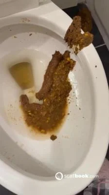 Bossy Delilah - Bossys Bathroom Blunder A Splattered Catastrophe - Scatbook - USA, Kaviar [SD]