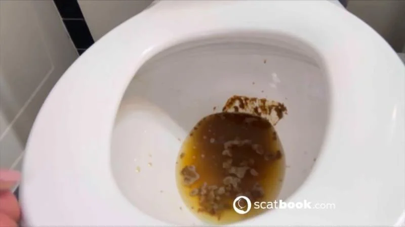 IWantMystique - Shit For BDSM And Fetish Lovers 222 - Scatbook - Canada, Shitting Ass [HD 720p]