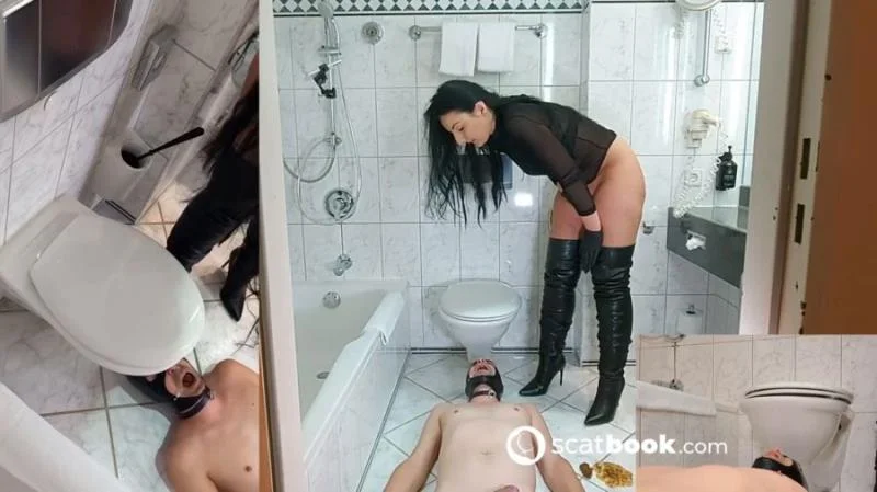 Dumme Versagertoilette im Hotel - Scatbook.com - Germany, Scat [HD 720p]