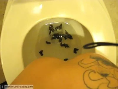 Scatting Girl - 2 - TheNewGirlsPooping - Milf, Homemade [SD]