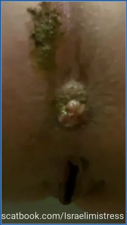 Mistress Jardena - Best lunch for my toilet bitches - Scatbook -  [SiteRip]