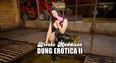Scat Dung Erotica 2 - Manurefetish.com - Cow Shit Fetish [HD 720p]