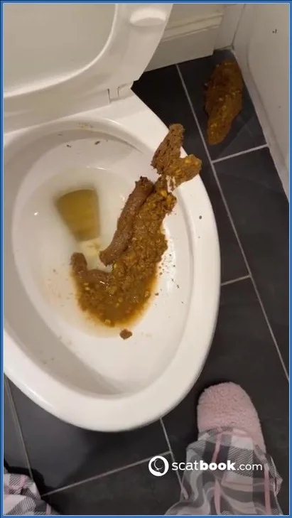 Bossy Delilah - Bossys Bathroom Blunder A Splattered Catastrophe - Scatbook -  [SiteRip]