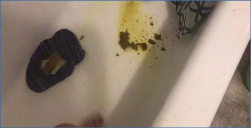 Missellie Engages in Solo Toilet and Scat Play with Verbal Humiliation