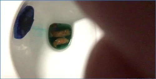 Ella Gilbert's 5 Days Bowel Movement Fetish video with Enema and Toilet Play