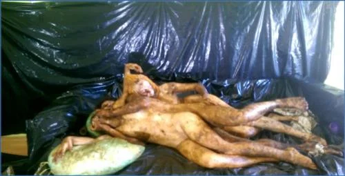 AstraCelestial Delivers Scat Insanity with FireFly and Aria in Shocking romp