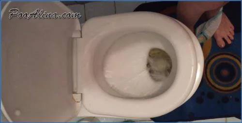 PooAlina's Morning Toilet Bout: Shit Eating, Humiliation