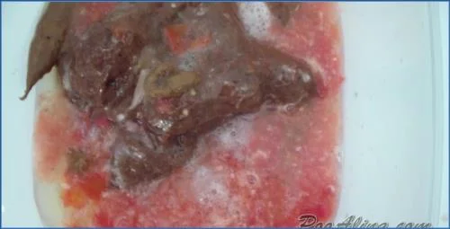 PooAlina Shits, Smears, Eats, and Farts in Wild Scat Domination