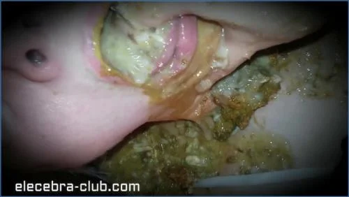 Elecebra Dominates with Pissing and Vomit in Grimy Toilet Play