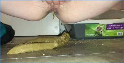 Missellie Dominates Her Bathroom in Wild Shitting and Peeing Solo