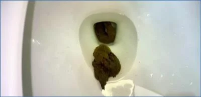 Pulsifer Paprocki's Creative Solo Scat in Shits in February Compilation