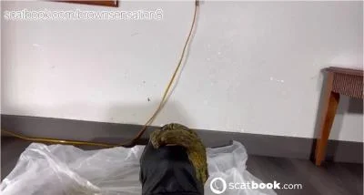 BrownSensation8 Delivers Hardcore Filthy Anal Shitting in Toilet