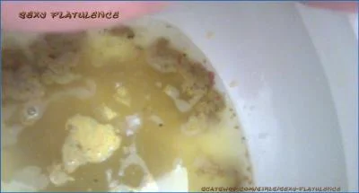 SexyFlatulence Diarrhea and Pissing in the Toilet