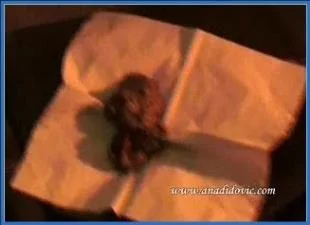 Ana Didovic Delivers Extreme Copro and Anal in the Living Room