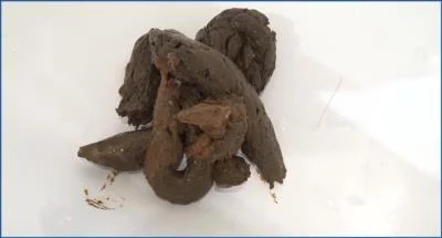 Piss Kaviar Porn with Sarah: HotDirtyIvone's Hardcore Shitting and Peeing show