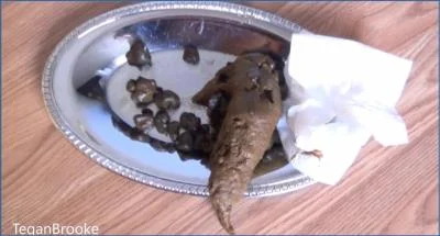 Tegan- Bedroom Platter Poop with Real Shitting and Thick Smearing