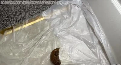 Masturbating and shitting with BrownSensation8 in a hardcore kaviar video