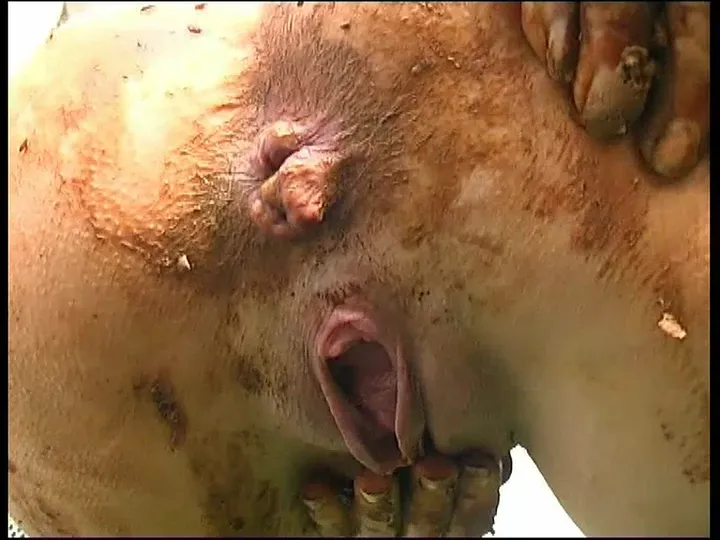German Kaviar Mess: Extensive Scat Play with Multiple Performers