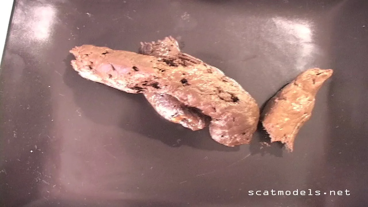 Natural Scat Girls: Authentic Toilet Kaviar Drop Captured in Honest Amateur Style